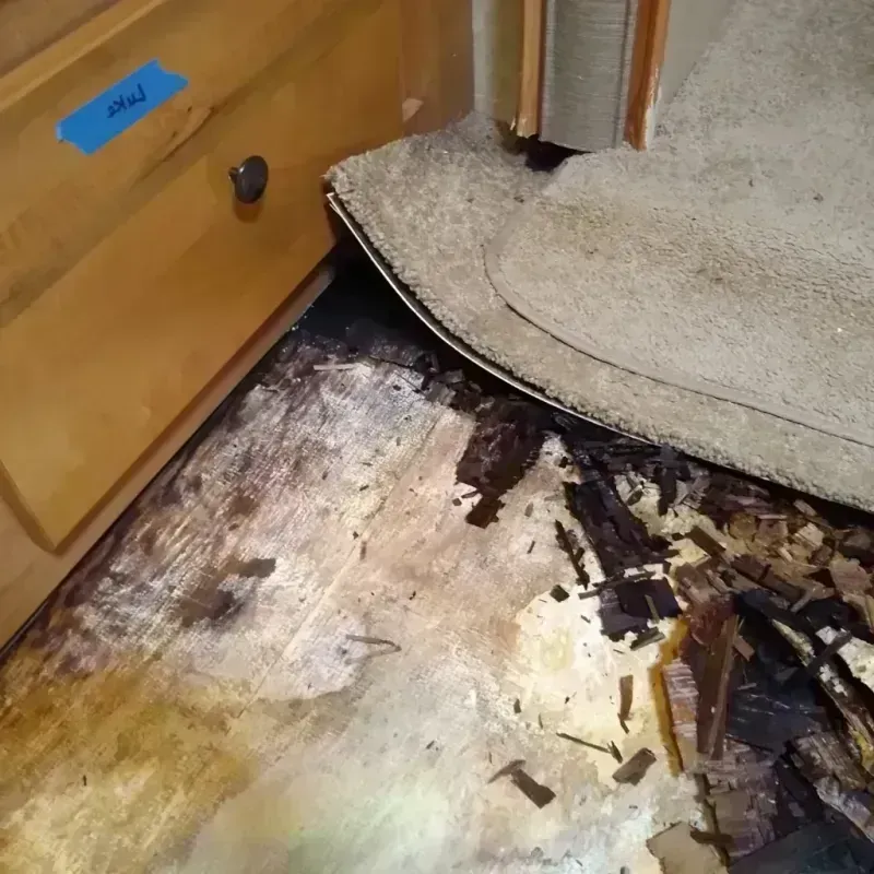 Wood Floor Water Damage in Rio Dell, CA